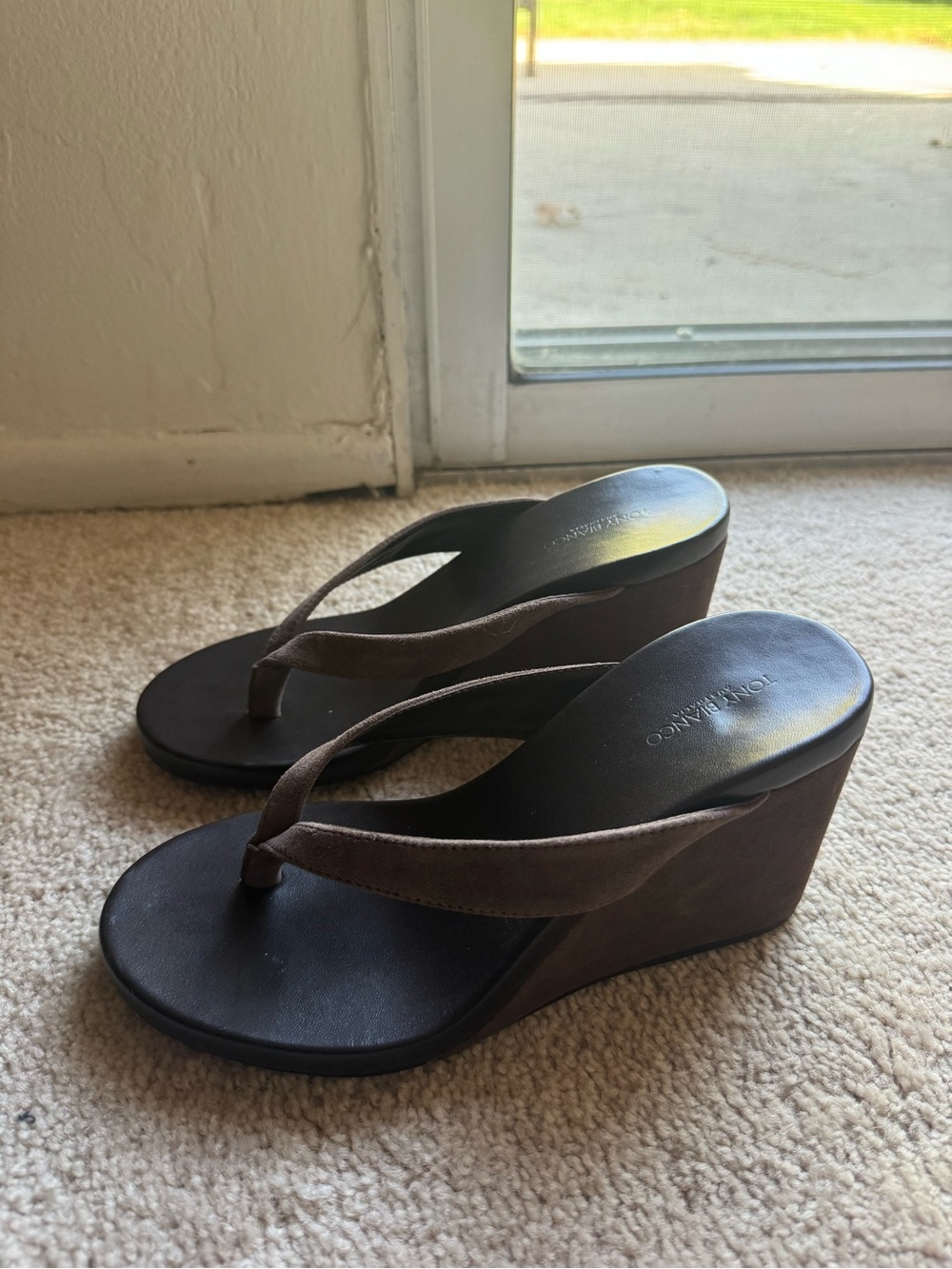 Tony Bianco Avanti Espresso Suede Wedge Sandal